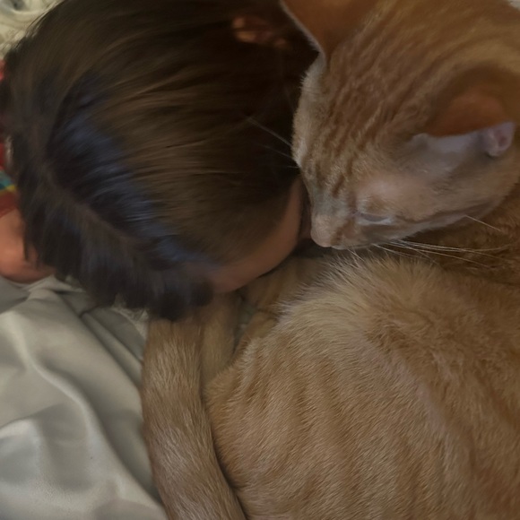 Meet your Posher, Sarah - Picture 1 of 1